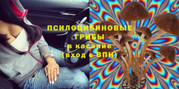 ГАЛЛЮЦИНОГЕННЫЕ ГРИБЫ Армянск